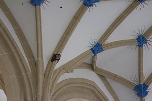 Sanierungsarbeiten im Dom zum Heiligen Kreuz