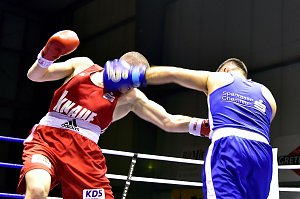 Tolle Leistung der NSV-Boxer