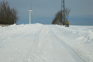 Und j&auml;hrlich gr&uuml;&szlig;t das Murmeltier!