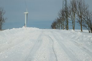 Und j&auml;hrlich gr&uuml;&szlig;t das Murmeltier!