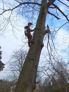Auf die Bäume - im Park Hohenrode