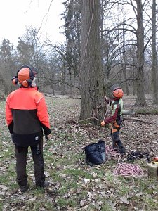 Auf die Bäume - im Park Hohenrode