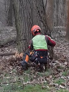 Auf die Bäume - im Park Hohenrode