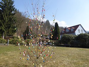 Osterbaum in S&uuml;lzhayn geschm&uuml;ckt