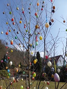 Osterbaum in S&uuml;lzhayn geschm&uuml;ckt