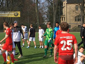Nordhausen gewinnt Halbfinale
