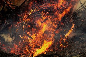 Osterfeuer 2018