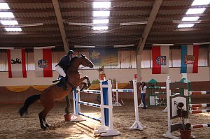 Hoffest und Reitturnier in Wollersleben