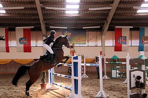 Hoffest und Reitturnier in Wollersleben