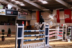 Hoffest und Reitturnier in Wollersleben