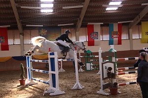 Hoffest und Reitturnier in Wollersleben