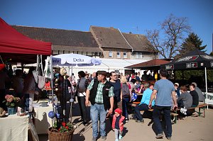Hoffest und Reitturnier in Wollersleben
