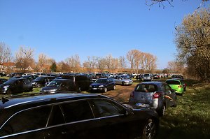 Hoffest und Reitturnier in Wollersleben