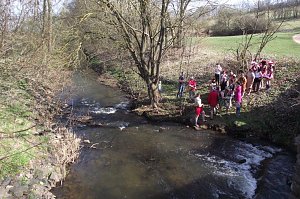 Mutig in den eiskalten Fluss