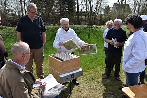 Wellness für die Bienen