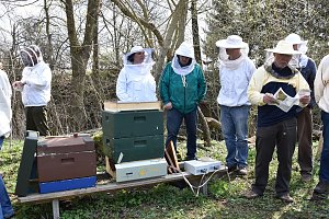 Wellness für die Bienen