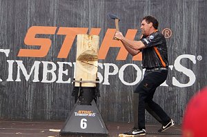 Sportholzf&auml;ller