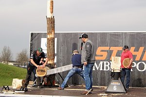 Sportholzf&auml;ller