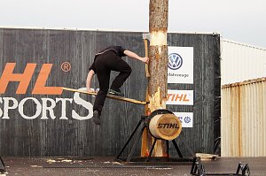 Sportholzf&auml;ller