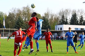 2:1 gegen Neustrelitz gewonnen