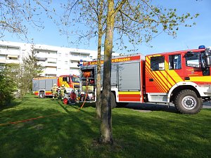Grasnarbe hatte Feuer gefangen