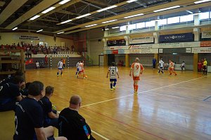 7.NOWE Cup