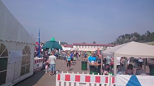 5. Harztorlauf