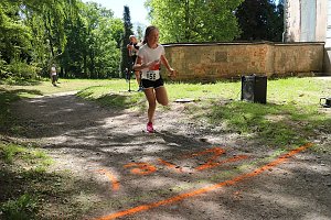 Benefizl&auml;ufe im Park Hohenrode und auf dem Hohekreuz-Sportplatz