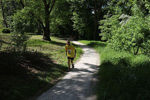 Benefizl&auml;ufe im Park Hohenrode und auf dem Hohekreuz-Sportplatz