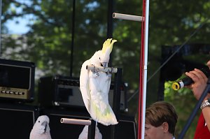 Autos und jede Menge Kultur
