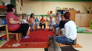 Kindergartenförderverein organisierte tolles Projekt