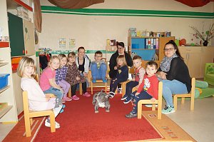 Kindergartenförderverein organisierte tolles Projekt