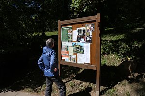 Parkfest in Hohenrode