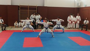 Siege und Pl&auml;tze beim Unstrut-Pokal im Karate