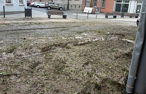 Aufr&auml;umarbeiten beginnen