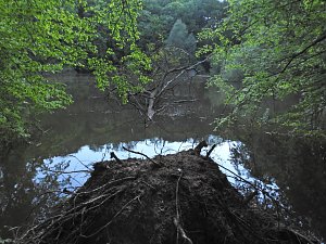 Unterwegs in Liebenrode