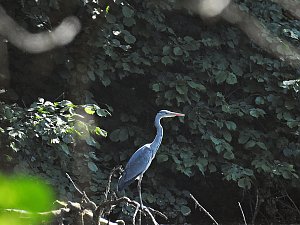 Unterwegs in Liebenrode