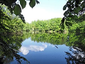 Unterwegs in Liebenrode