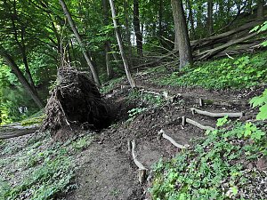 Unterwegs in Liebenrode