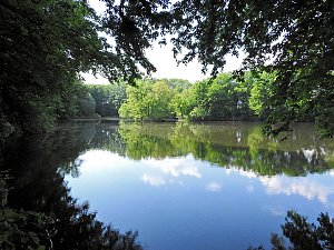 Unterwegs in Liebenrode