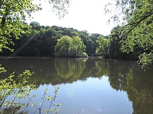 Unterwegs in Liebenrode