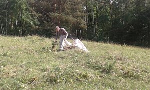 BUND-Einsatz 65: F&uuml;r Katzenpf&ouml;tchen und Sand-Veilchen