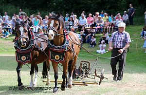 Vorbereitungen für Ponyschau laufen