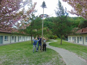 Der Mai im Ilfelder Sonnenhof