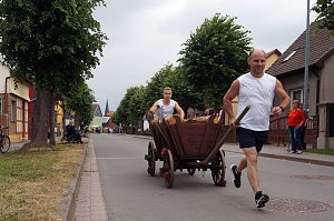 23. Arreefest