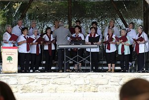 13. Kreischorfest in Holzsu&szlig;ra