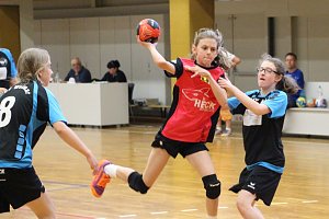 Bei den Th&uuml;ringer Jugendspielen im Handball der D-M&auml;dchen holten die Nordh&auml;userinnen &uuml;berraschend Silber