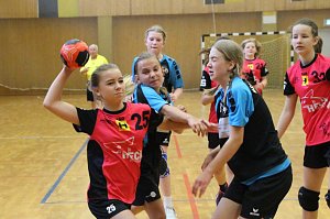 Bei den Th&uuml;ringer Jugendspielen im Handball der D-M&auml;dchen holten die Nordh&auml;userinnen &uuml;berraschend Silber