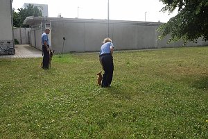 &Uuml;berraschungen zum Kindertag