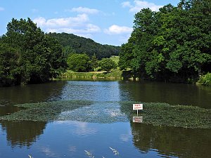 Natur pur bei am Neustädter Rosenteich
